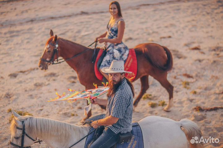 Конные прогулки