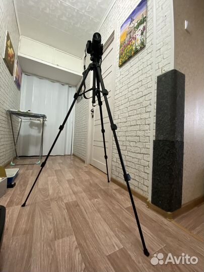 Зеркальный фотоаппарат canon eos 2000d