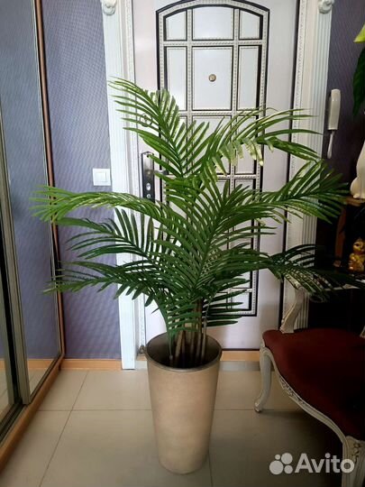 Искусственная пальма