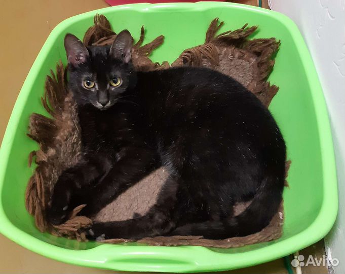 Символ 2023 года