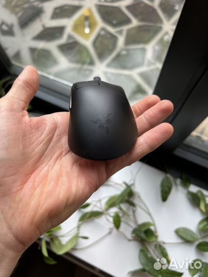 Игровая мышь razer deathadder v3 pro + донгл
