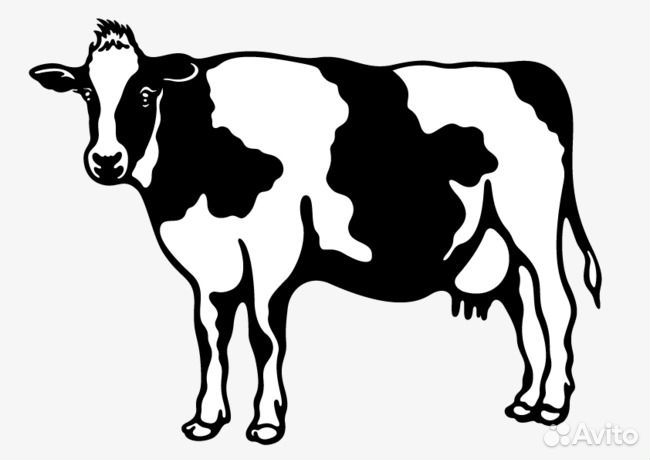 Закуп мяса коров