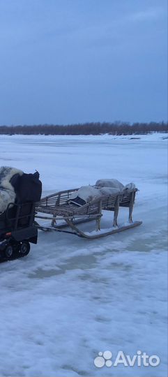 Нарты для снегохода