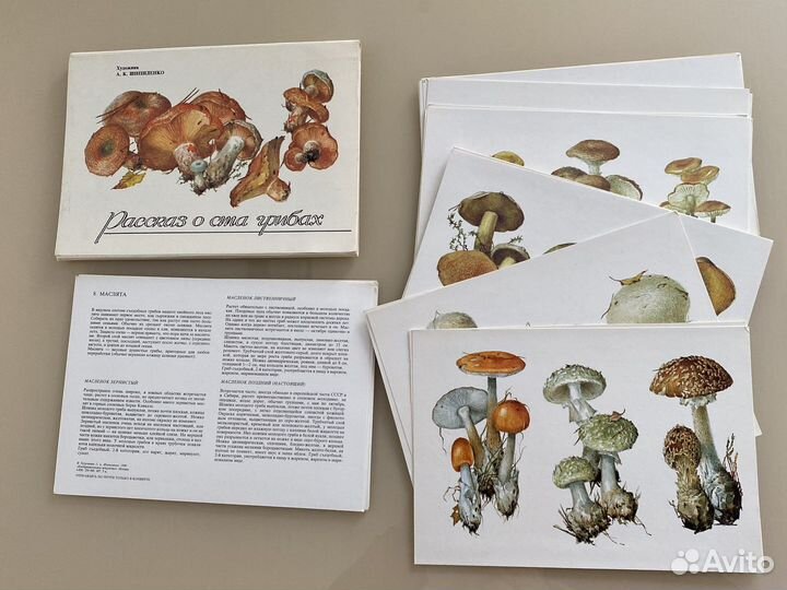 Книги Педагогика психология и др