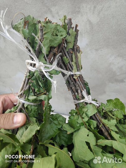 Дубовые веники для бани