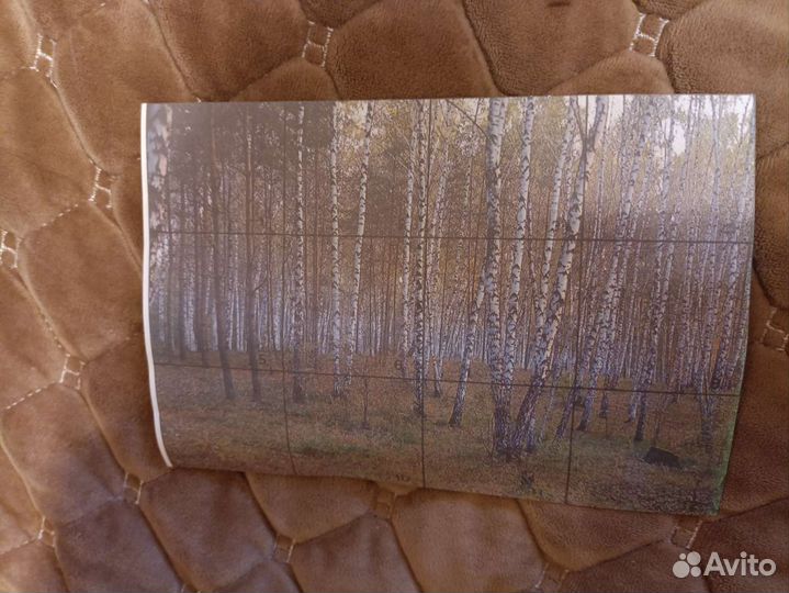 Ретро фотообои