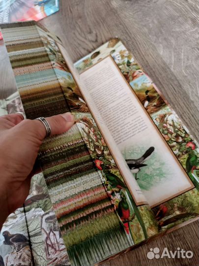 А. Брем Жизнь животных