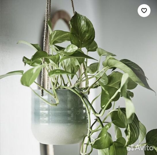 Кашпо для цветов IKEA