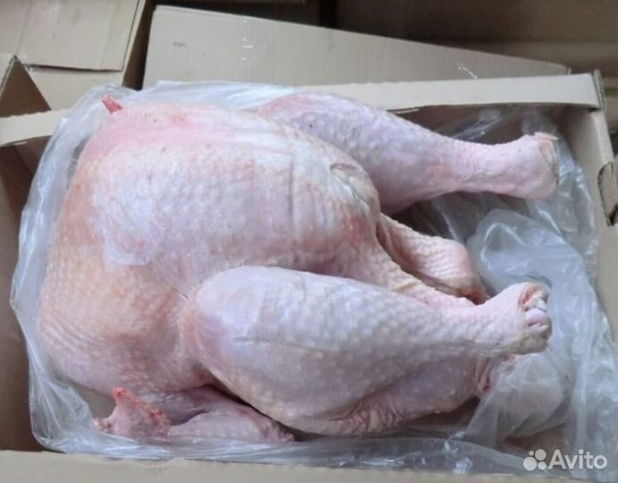 Тушка индейки