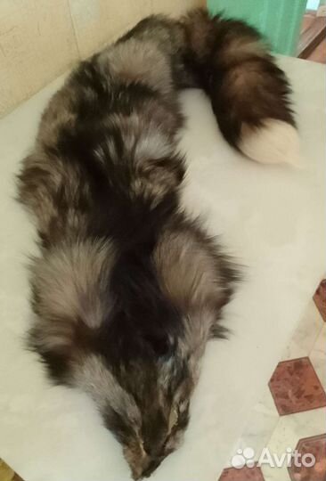 Шкура натуральная