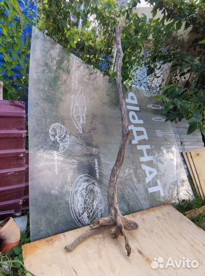 Коряга для поделок, коряга для террариума