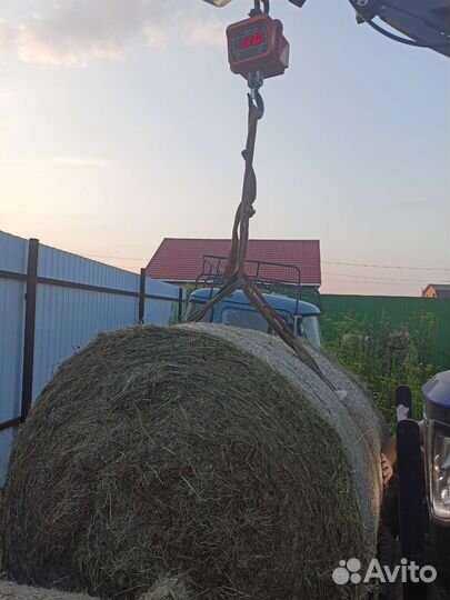 Сено в рулонах и тюках