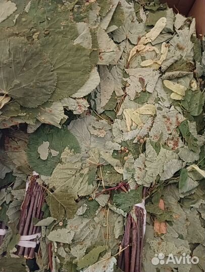 Банные веники высший сорт