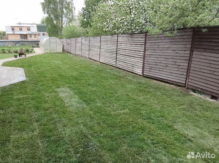 Отличный газон под ключ