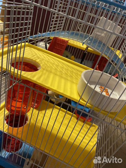 Клетка для грызунов большая