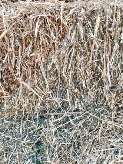 Сено люцерны и солома овсяная