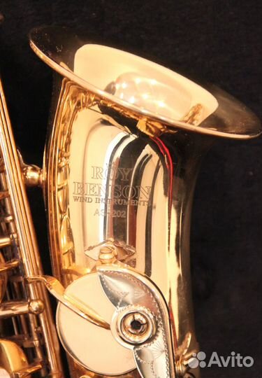 Саксофон альт Roy Benson AS-202