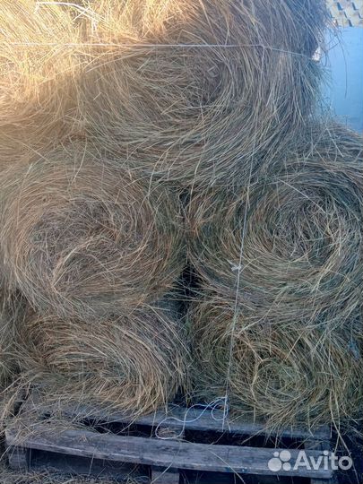 Сено в рулонах