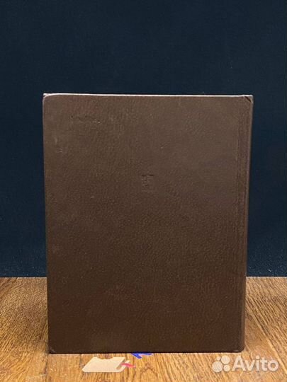 С солнцем в крови