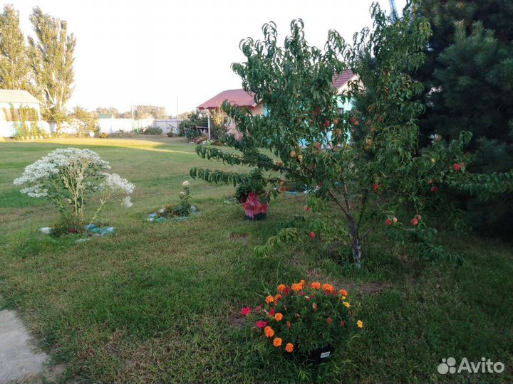 Рыбалка В астрахани