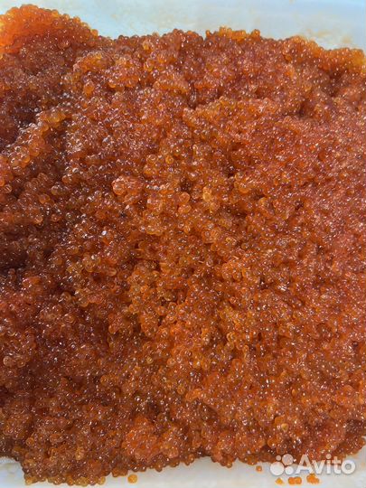 Икра красная горбуши 2023 опт любое количество