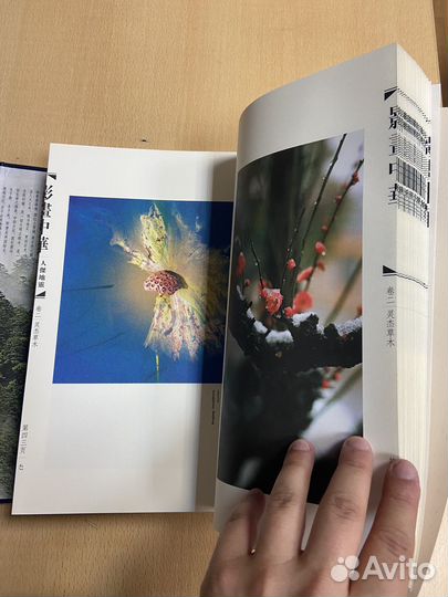 Фотографии Китая