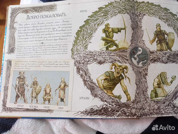 Книга Эрагон гид по стране драконов