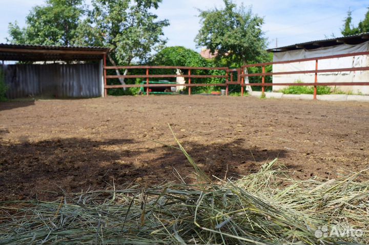 Постой для лошадей