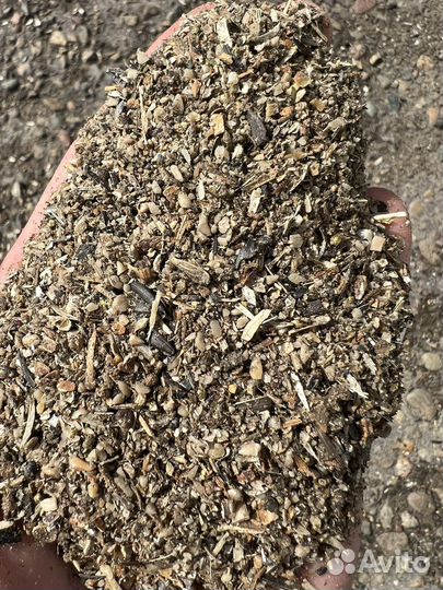 Отходы Семечки (подсолнечника)