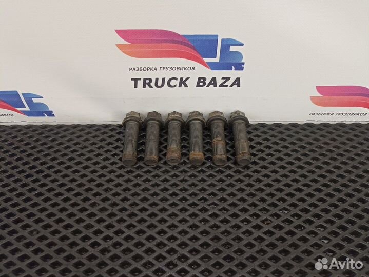 06019023413 Комплект болтов суппорта