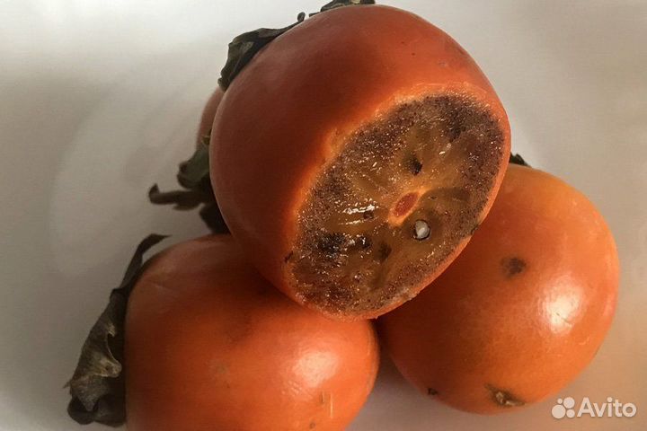 Саженцы хурмы Шоколадная