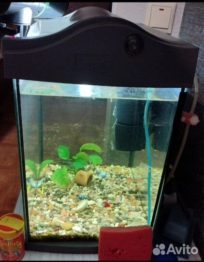 Аквариум Тетra б/у