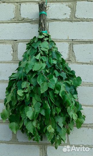 Веники для бани 2024