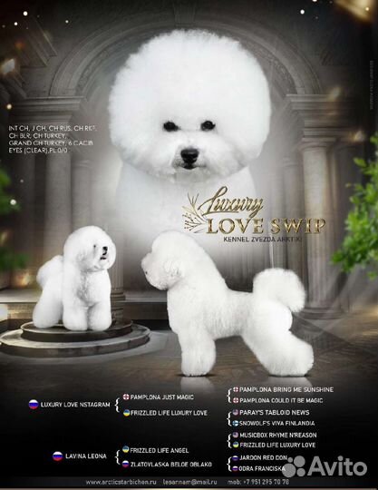 Вязка кобель