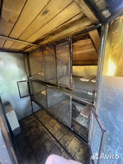 Клетки для кроликов