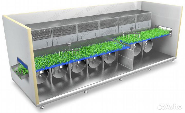 Флюидизационная туннельная заморозка ягод и овощей