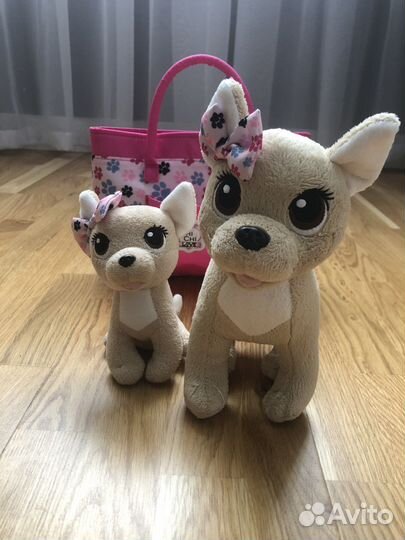 Собачки chi chi love