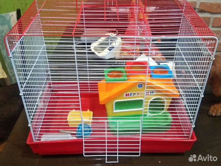 Клетка для сирийского хомяка