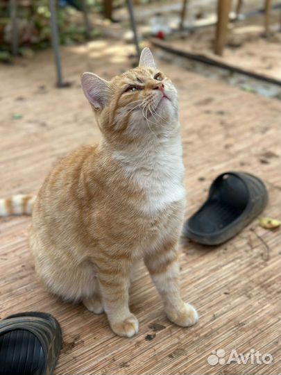 Спасём вместе