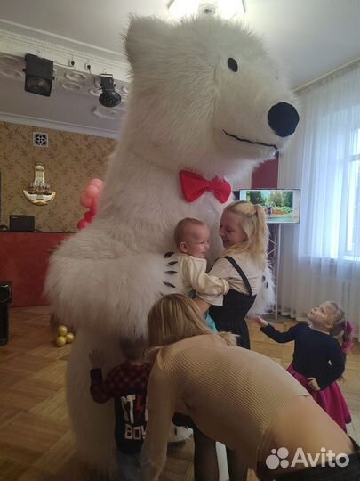 Аэромедведь поздравления