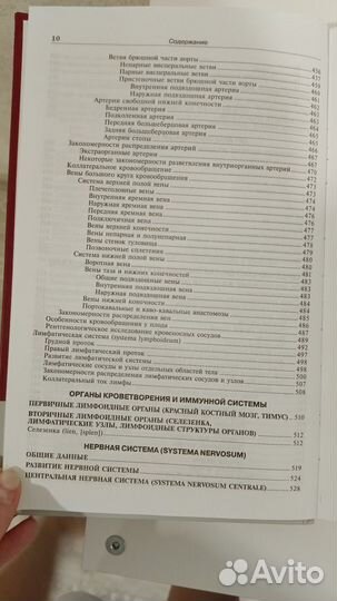 Анатомия человека Привес