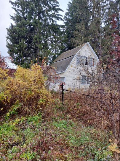 Участок 4 сот. (СНТ, ДНП)