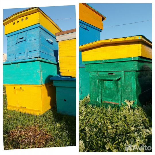 Домики для пчел