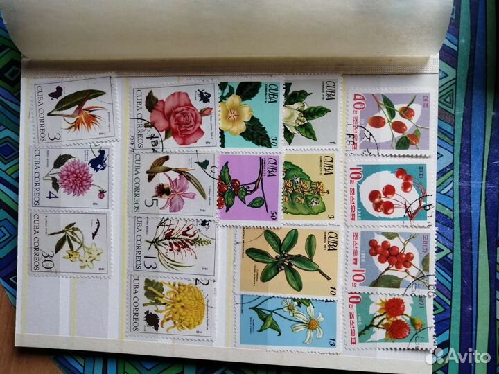 Марки цветы, бабочки, грибы