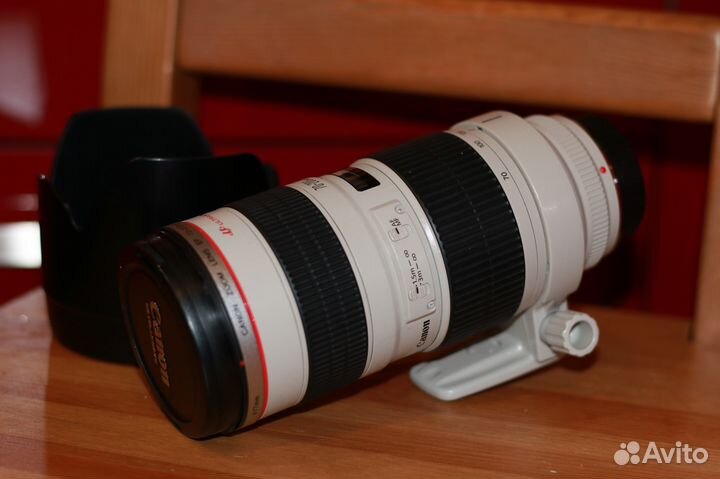 Canon 70 - 200 2.8L