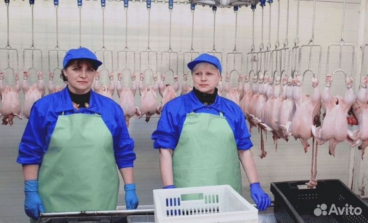 Упаковщик /проживание+питание Автобус 15.09