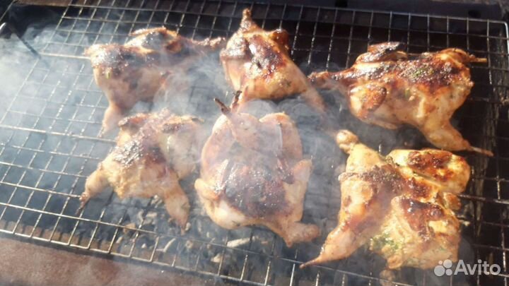 Свежие перепелиное яйцо, мясо перепелов. Перепелки