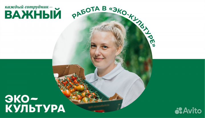 Рабочий в теплицу (вахта)