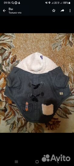 Одежда для собак мелких пород