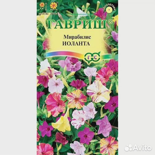 Мирабилис Иоланта